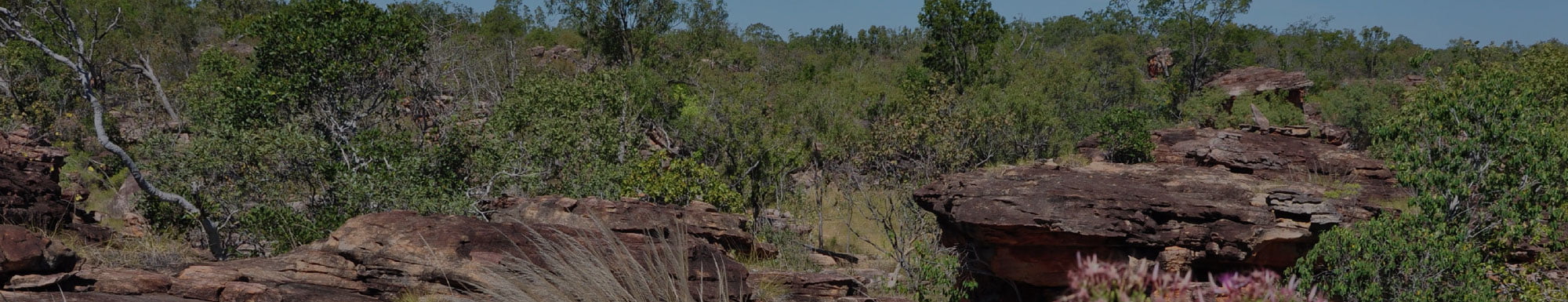 World’s oldest known ground-edge stone axe fragments found in Western Australia