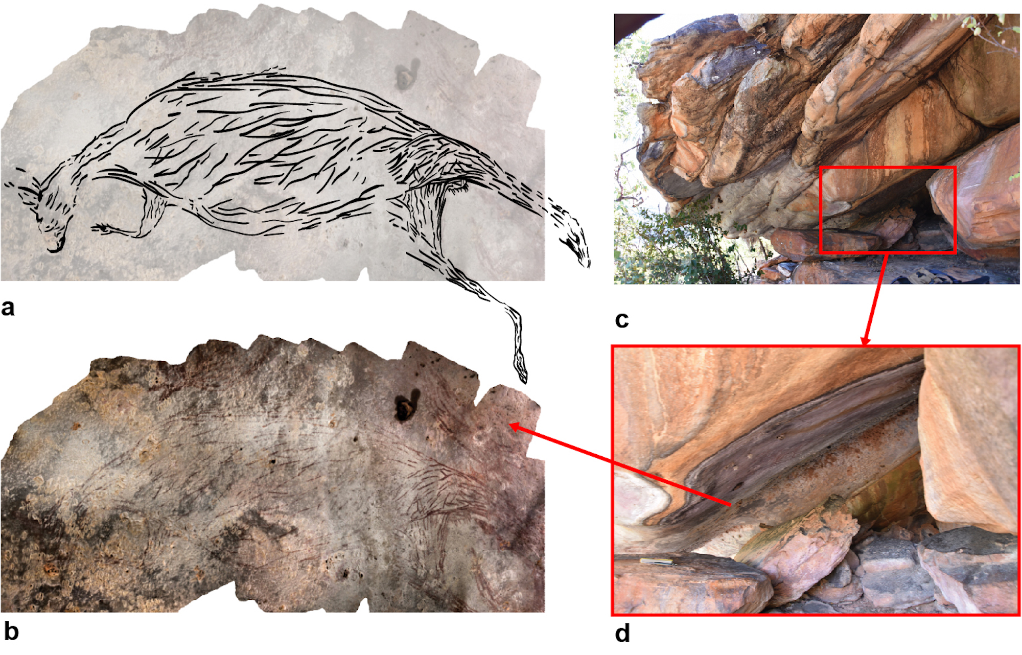 https://rockartaustralia.org.au/wp-content/uploads/2021/02/17000-year-roo.jpg