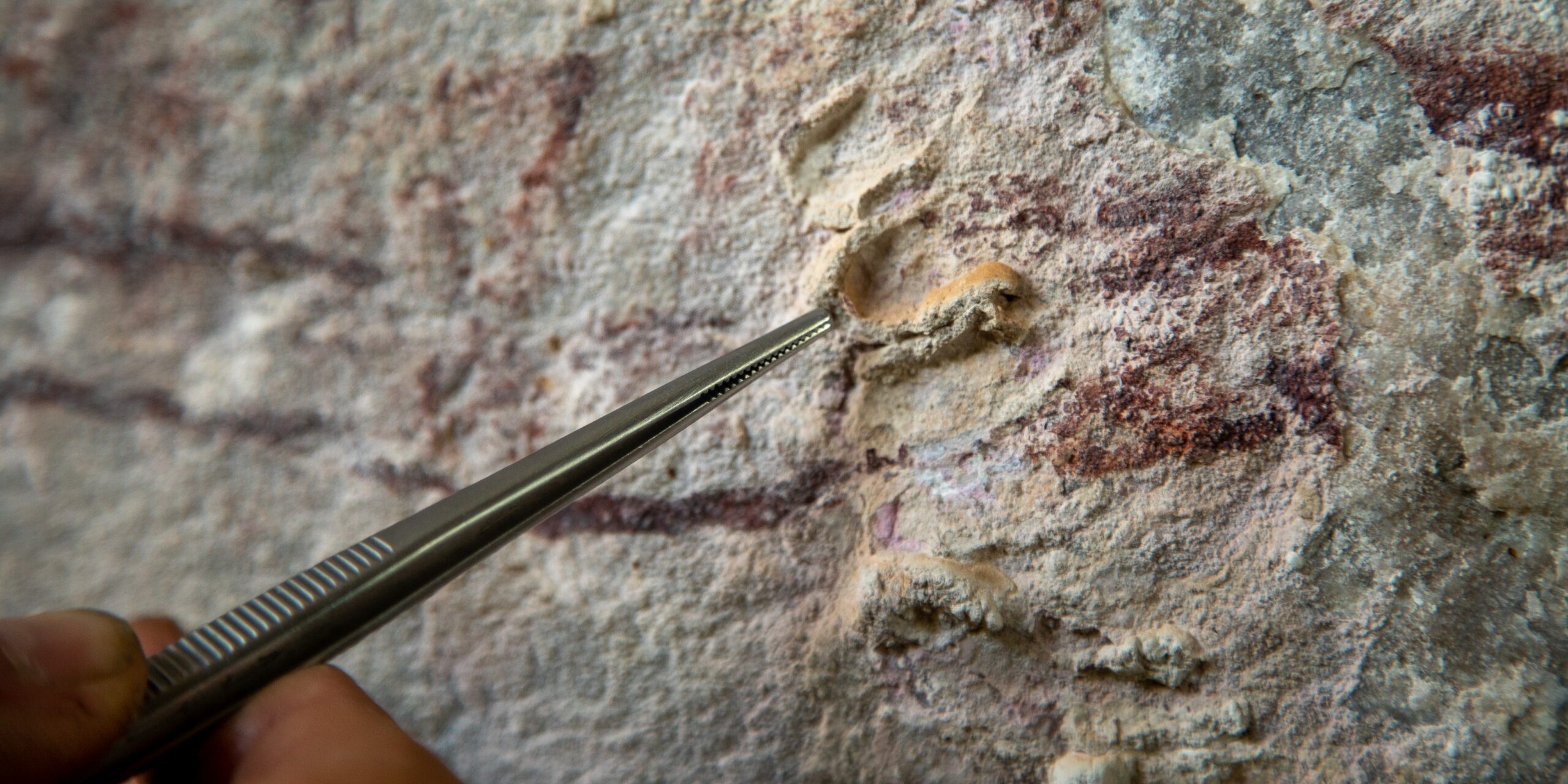 Dating Australia’s Oldest Rock Art – Online Presentation